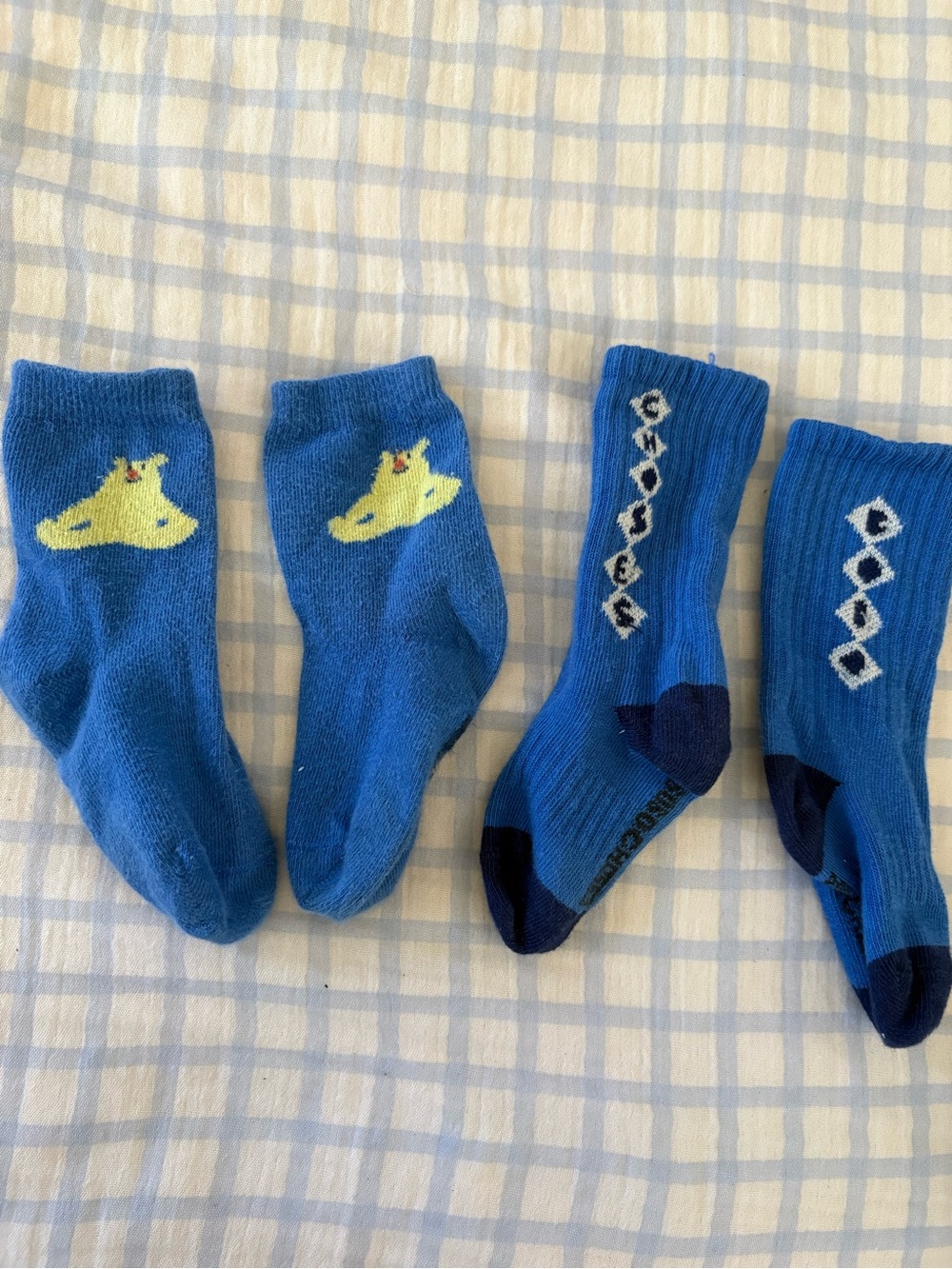 Bobo Choses Blue Sock Bundle